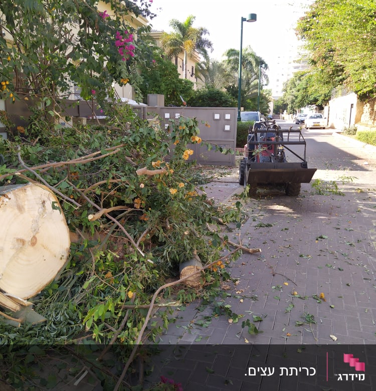 גזע עץ כרות וענפים על הקרקע ליד טרקטור קטן